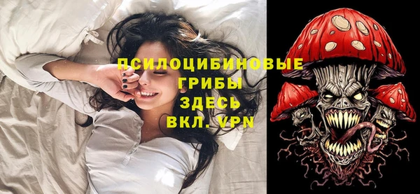гидропоника Нягань